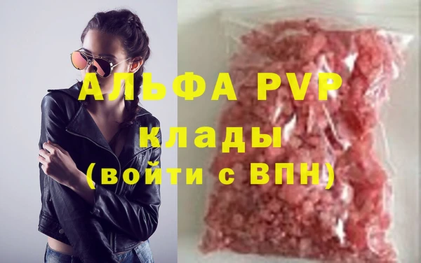 ПСИЛОЦИБИНОВЫЕ ГРИБЫ Каменногорск