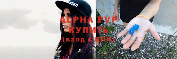 ПСИЛОЦИБИНОВЫЕ ГРИБЫ Каменногорск