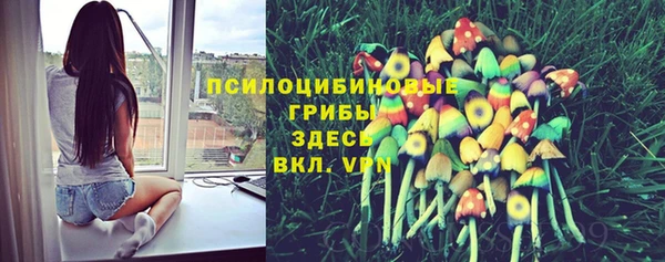кокаин премиум Каменка
