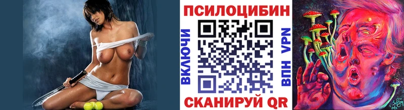 Купить закладки  Первомайск  Псилоцибиновые грибы Psilocybe 